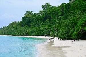 andaman tour pacakage from coimbatore andaman tour pacakage from coimbatore