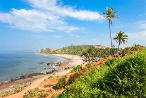 odisa tour pacakge from trichy odisa tour pacakge from trichy